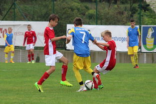 JIUYOU GAMING-突尼斯希望进攻套路单一，被对手识破，突尼斯是啥意思